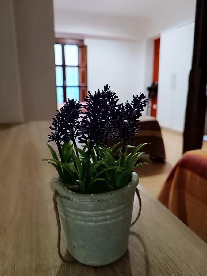 Corrala De San Anton. Sencillo Apartamento En Pleno Centro Гранада Экстерьер фото